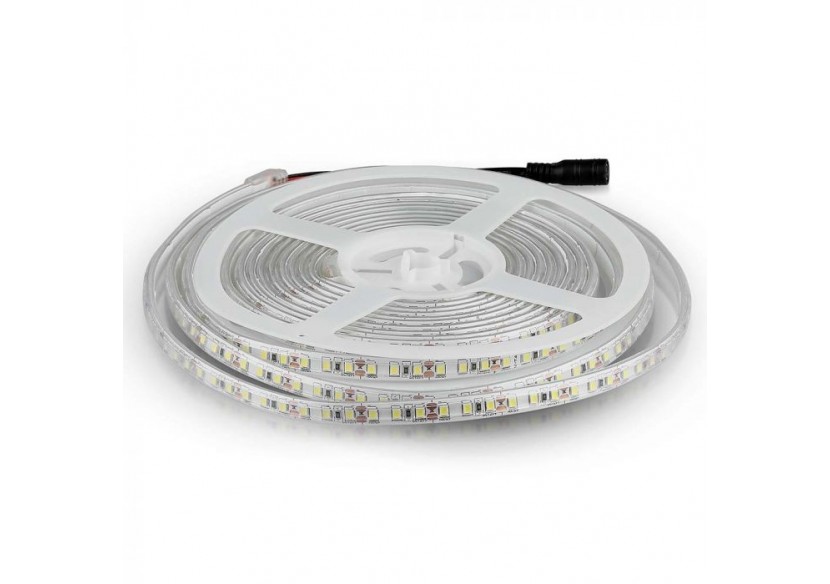 Bande LED SMD3528 120 LED 6500K IP65