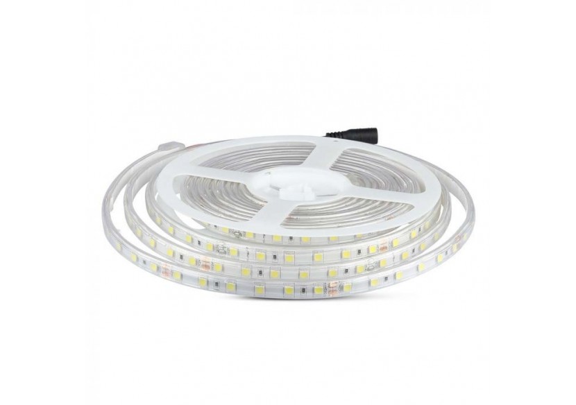 Bande LED 5050 60 LED 24V IP65 4000K Bande LED 5050 60 LED 24V IP65 4000K