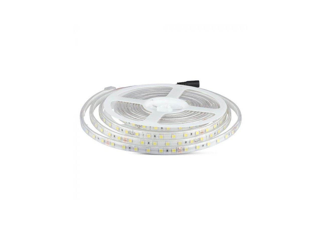 Bande LED 5050 60 LED 24V IP65 6500K