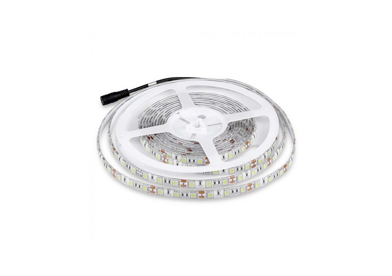 Bande LED SMD5050 60 LED 6500K IP65