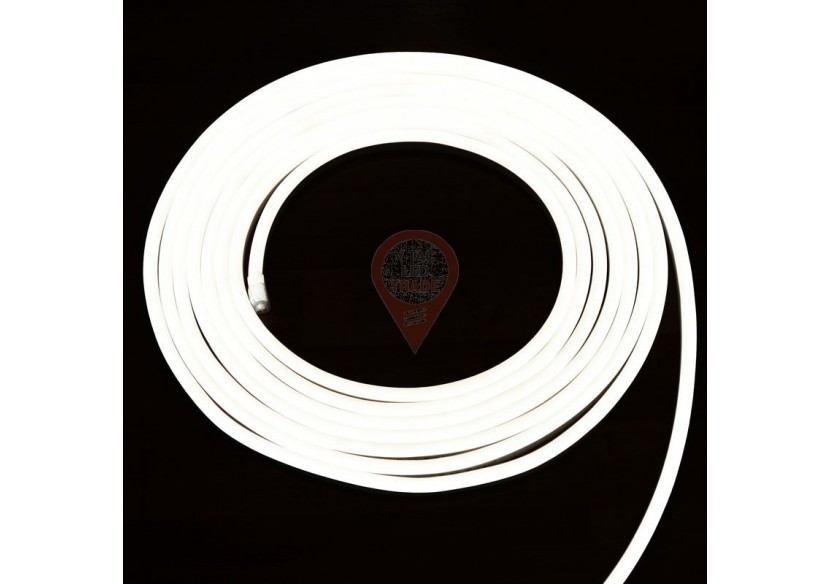 Néon LED Flex 24V Blanc naturel - 10m