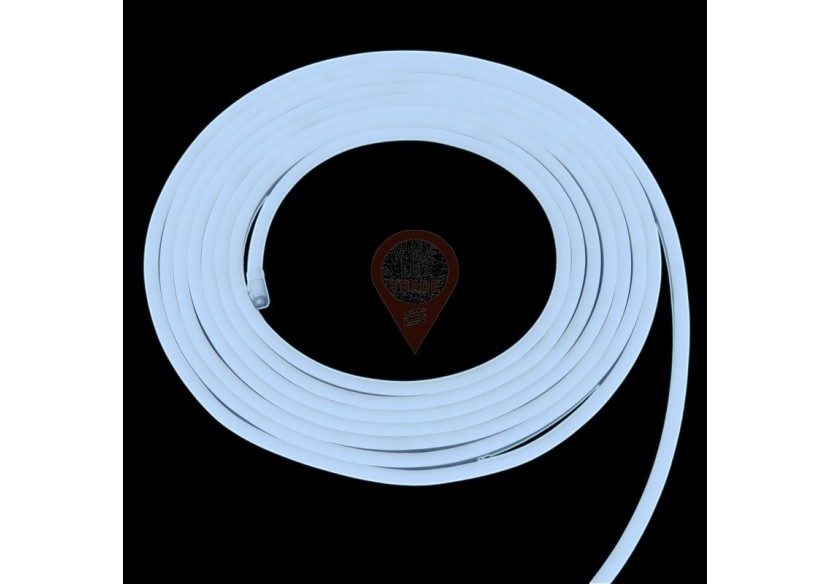 Néon LED Flex 24V Blanc - 10m