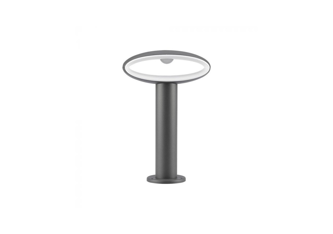 Lampe Borne LED 9W Gris Foncé Aluminium 30cm 4000K IP54