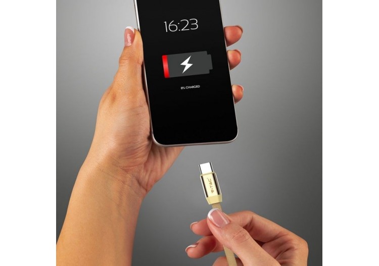 1m. Câble USB Type C Or - Série Ruby