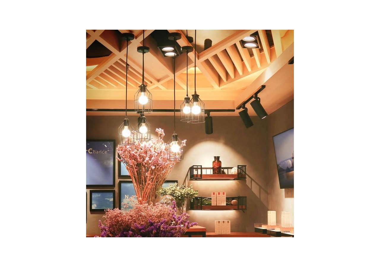 Ampoule Vt-5154 5w p45 compatible avec alexa et google home rgb+ww-cw e14- 2756 - V-tac