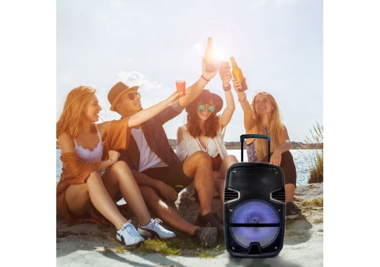 Haut-parleur de chariot rechargeable Vt-6212 35w avec microphone filaire-rf-rgb (12 pouces)- 7736 - V-tac