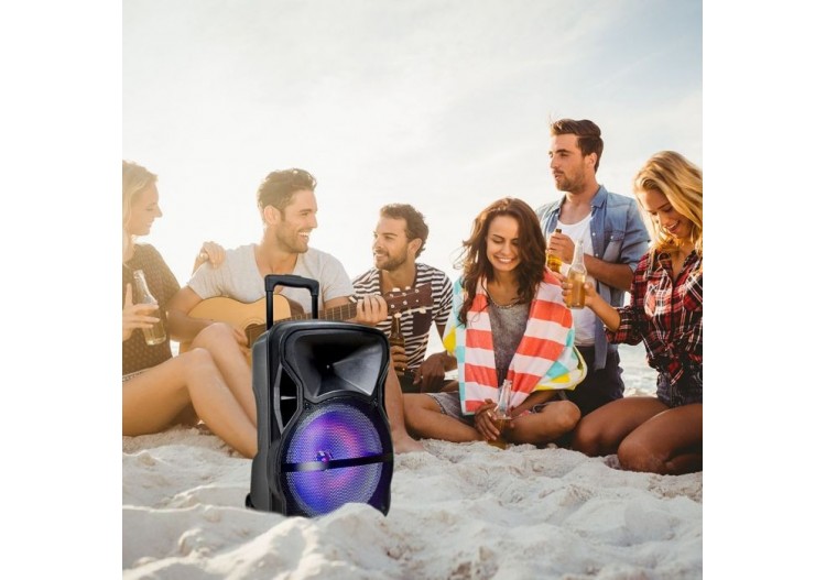 Haut-parleur de chariot rechargeable Vt-6312 35w avec microphone filaire-rf-rgb (12 pouces)- 7737 - V-tac