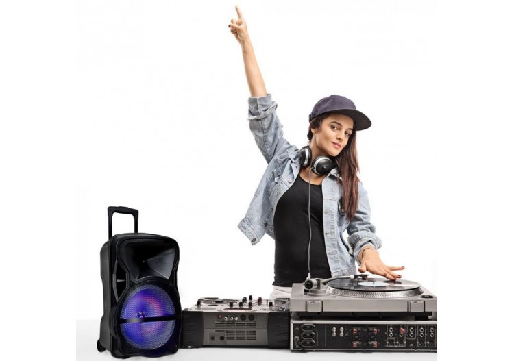 Vt-6315 Enceinte sur chariot 50w rechargeable avec microphones-contrôle rf-rgb- 7738 - V-tac