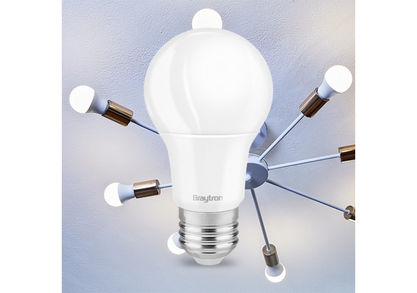Ampoule type A LED, E27, 470 lm, Blanc Chaud - BA13-00520 - Braytron
