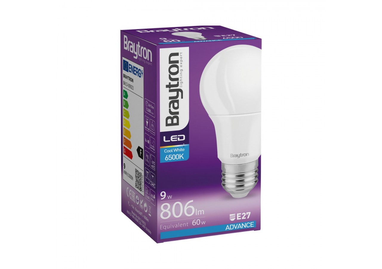 Ampoule type A LED, E27, 806 lm, Blanc froid - BA13-00923 - Braytron