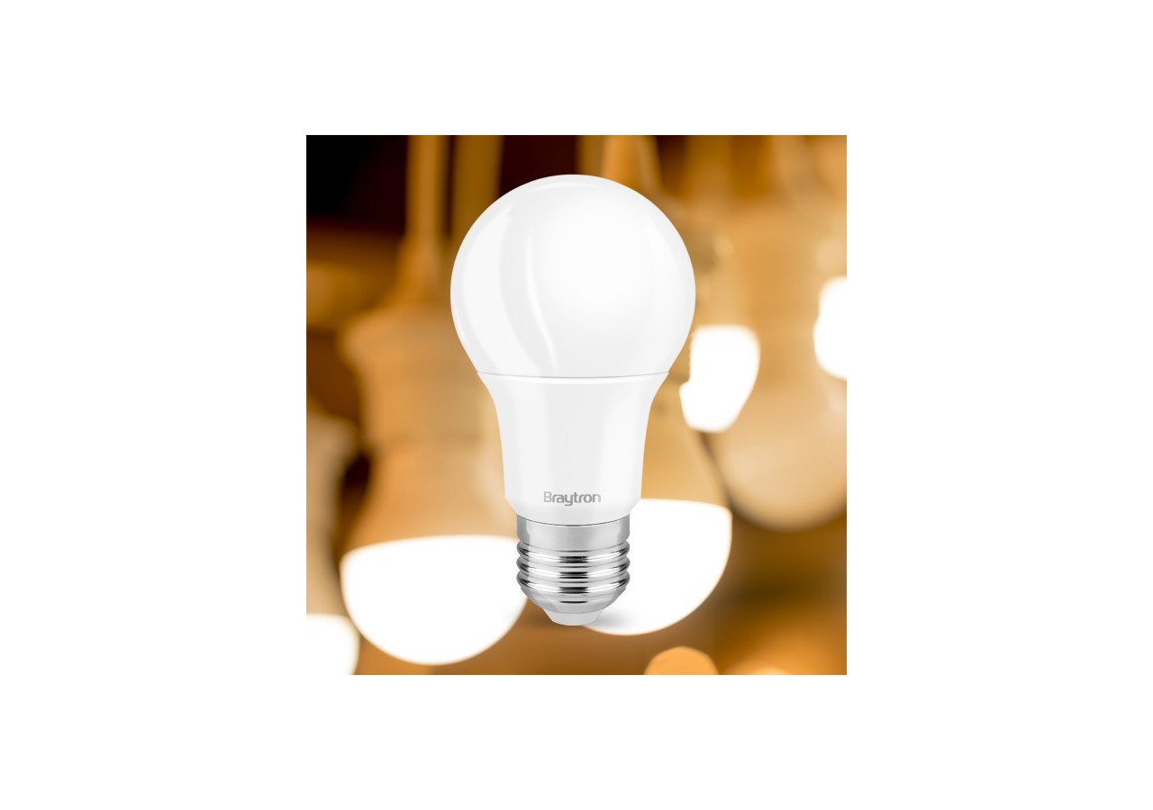 Ampoule type A LED, E27, 1055 lm, Blanc froid - BA13-01123 - Braytron