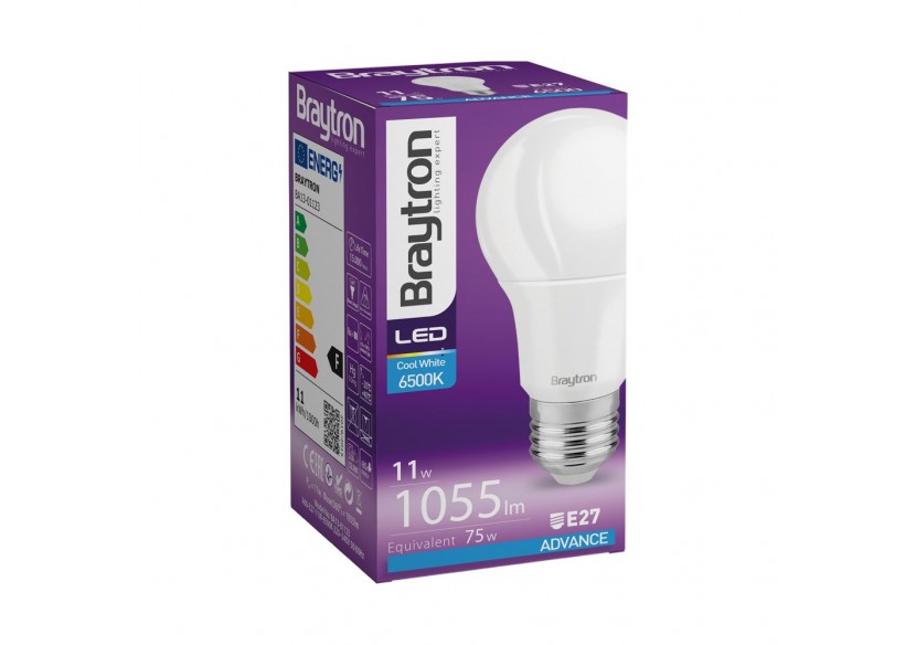 Ampoule type A LED, E27, 1055 lm, Blanc froid - BA13-01123 - Braytron