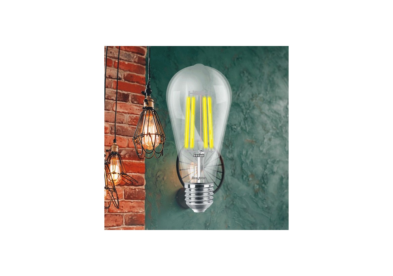 Ampoule filament décorative LED, E27, 806 lm, Blanc Chaud - BA46-00720 - Braytron