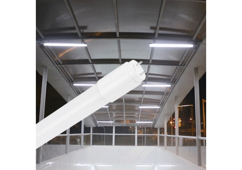 Tube LED 588mm, G13, 900 lm, Blanc neutre - BA52-00681 - Braytron