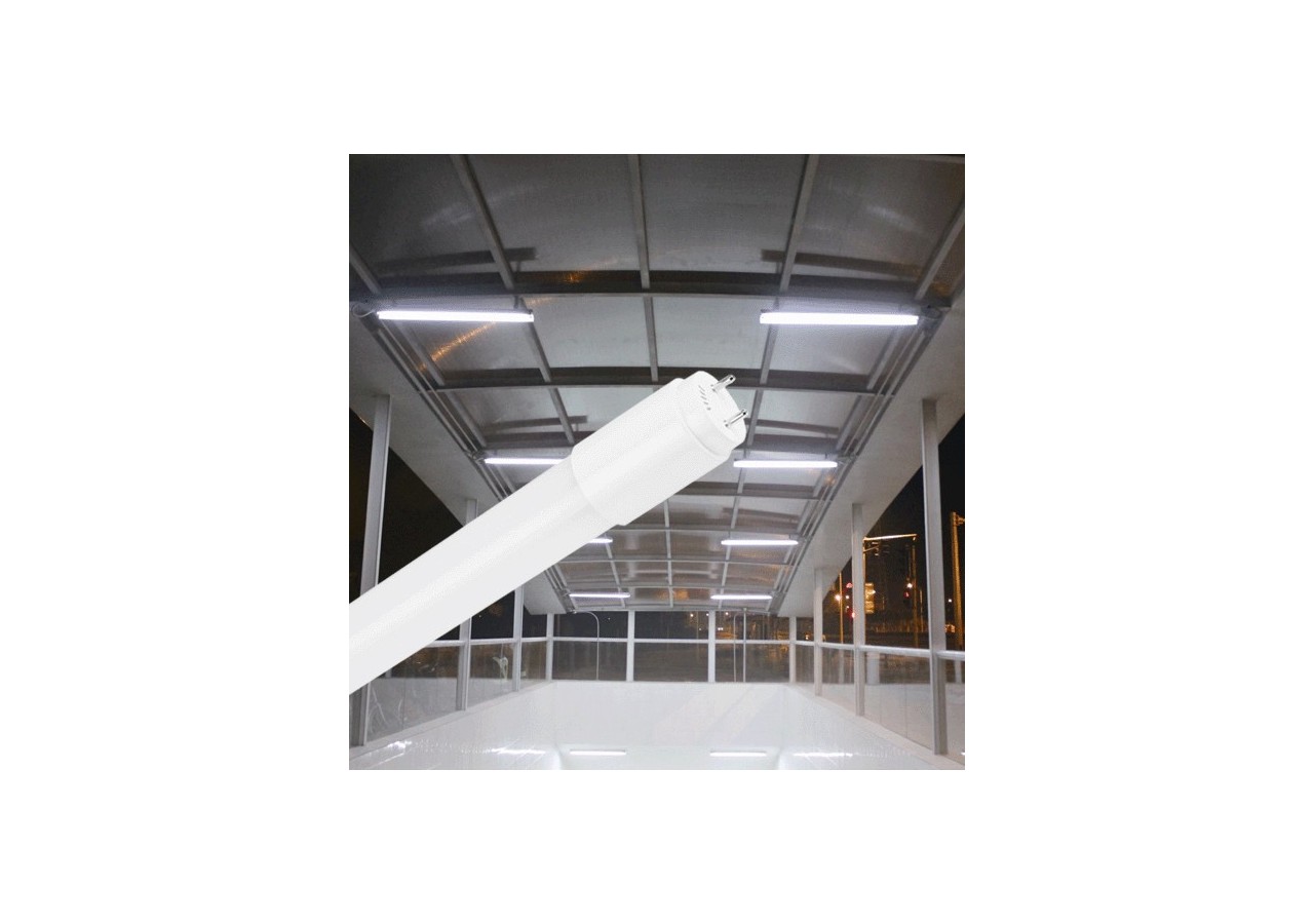 Tube LED 1498mm, G13, 2440 lm, Blanc froid - BA52-21583 - Braytron