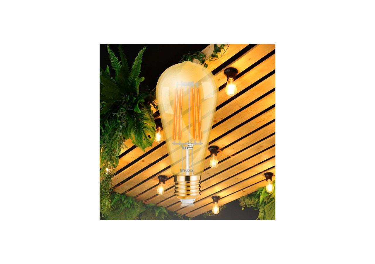 Ampoule filament décorative LED, E27, 540 lm, Ambre - BB46-60620 - Braytron