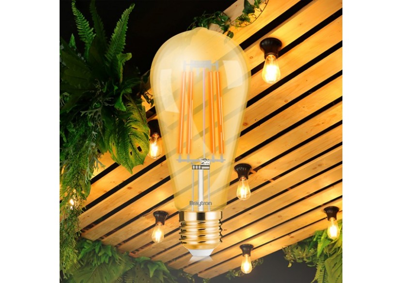Ampoule filament décorative LED, E27, 540 lm, Ambre - BB46-60620 - Braytron