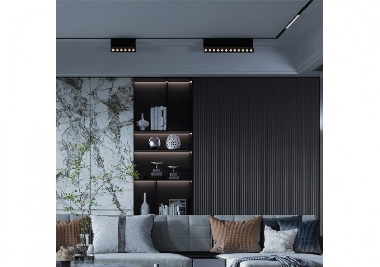 Module pour rail magnétique LED 220mm Noir, 1020 lm, Blanc neutre - BD60-03211 - Braytron 2