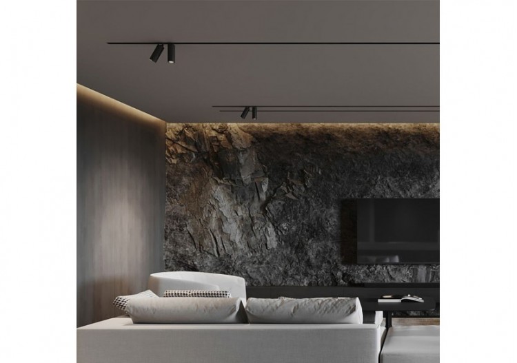 Spot pour rail magnétique LED Noir, 810 lm, Blanc Chaud - BD61-10201 - Braytron 2