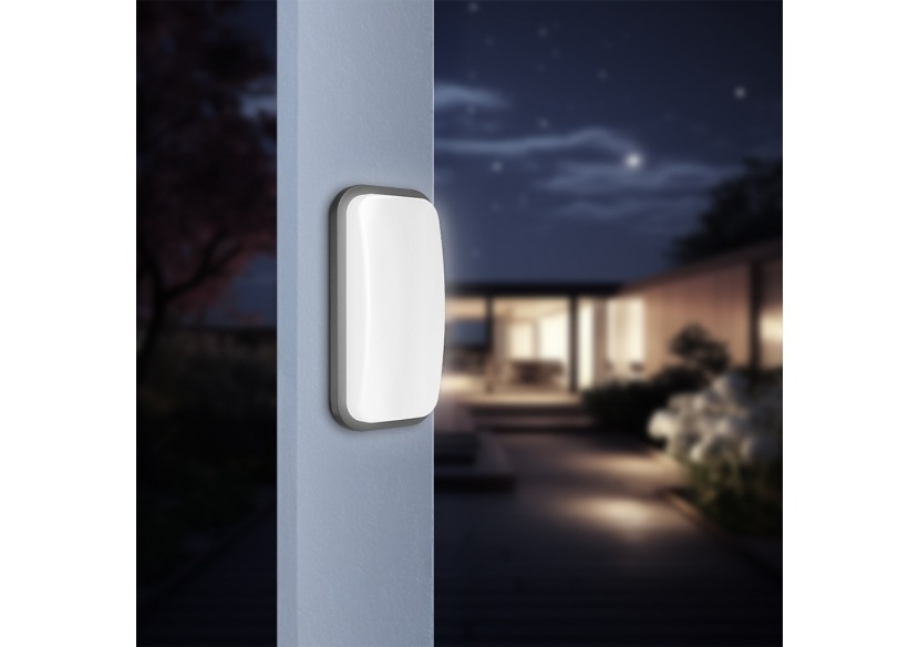 Applique murale LED 236mm Grise, 1460 lm, Blanc neutre - BG38-00312 - Braytron