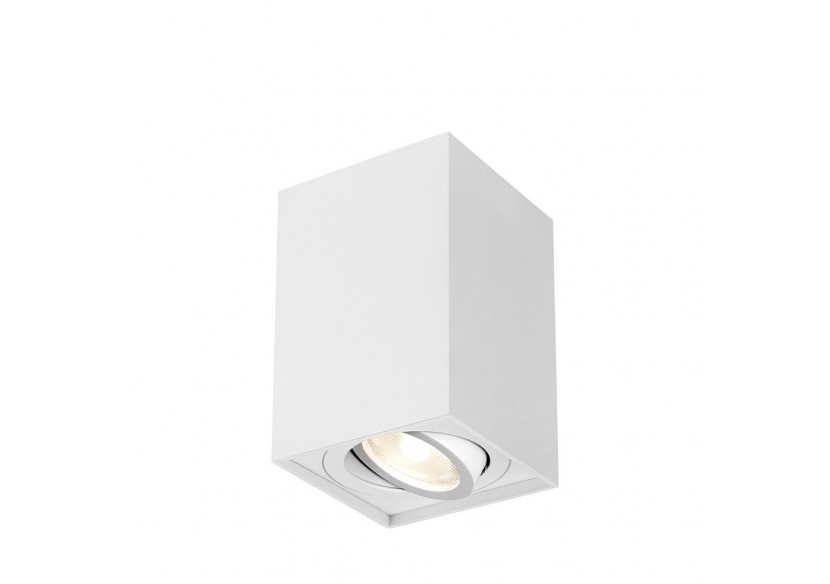 Spot 97mm Blanc, GU10 - BH04-00210 - Braytron