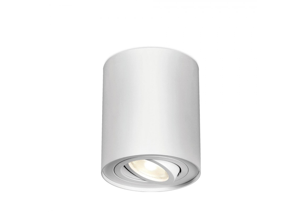 Spot Blanc, GU10 - BH04-00300 - Braytron