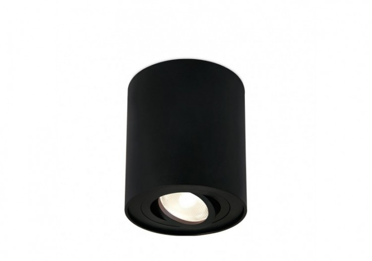 Spot Noir, GU10 - BH04-00301 - Braytron