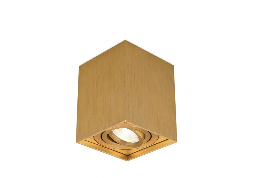 Spot 80mm Or, GU10 - BH04-00316 - Braytron