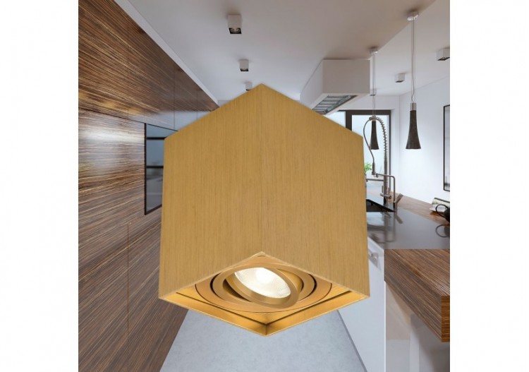 Spot 80mm Or, GU10 - BH04-00316 - Braytron 2