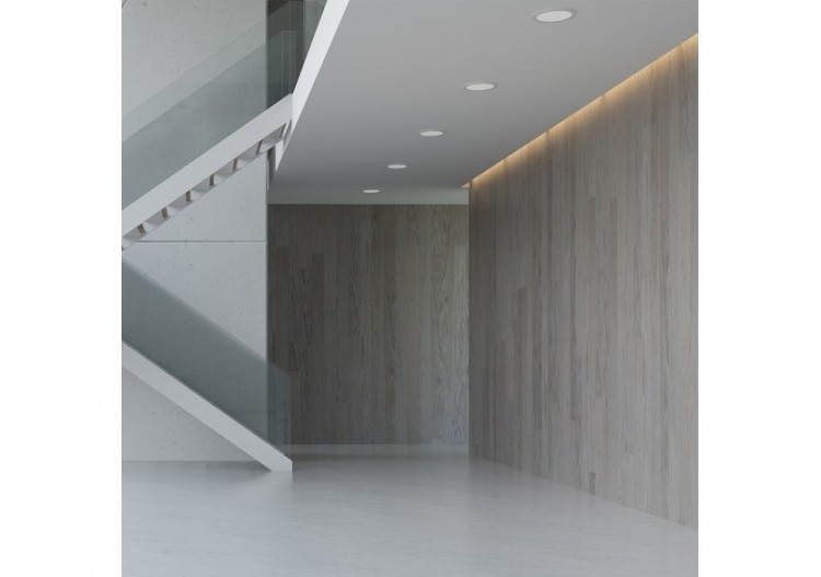 Panneau encastré LED diamètre 170mm Blanc, 1120 lm, Blanc Chaud - BP01-61200 - Braytron 2