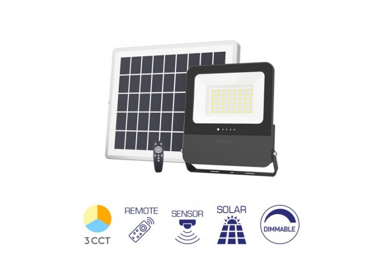 Projecteur solaire LED 220mm Noir, 3000 lm, Variation de blancs - BT64-02481 - Braytron