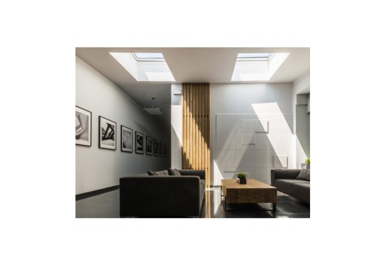 Fenetre Dmg P2 80X80 - 80EW04 - Fakro 2