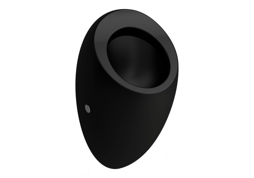 Urinoir Alessi Noir mat 290 x 325 x 585 mm - H8409757160001 - Laufen