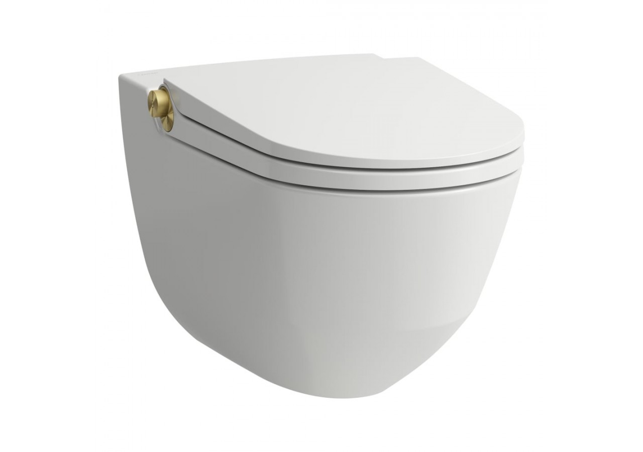 WC lavant suspendu sans bride Riva Blanc LCC et or rose poli 600 x 395 x 405 mm - H8206914030001 - Laufen