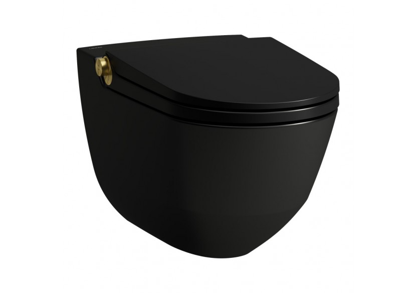 WC lavant suspendu sans bride Riva Noir mat et or poli 600 x 395 x 405 mm - H8206917170001 - Laufen