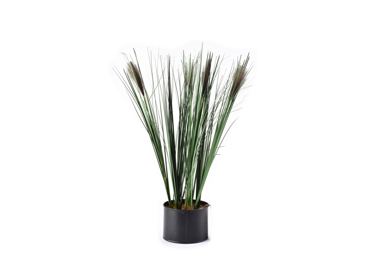 Fleur Artificielle - Bruns et Verts 12,5xh54cm - HTQB3516-PROM - Mondex