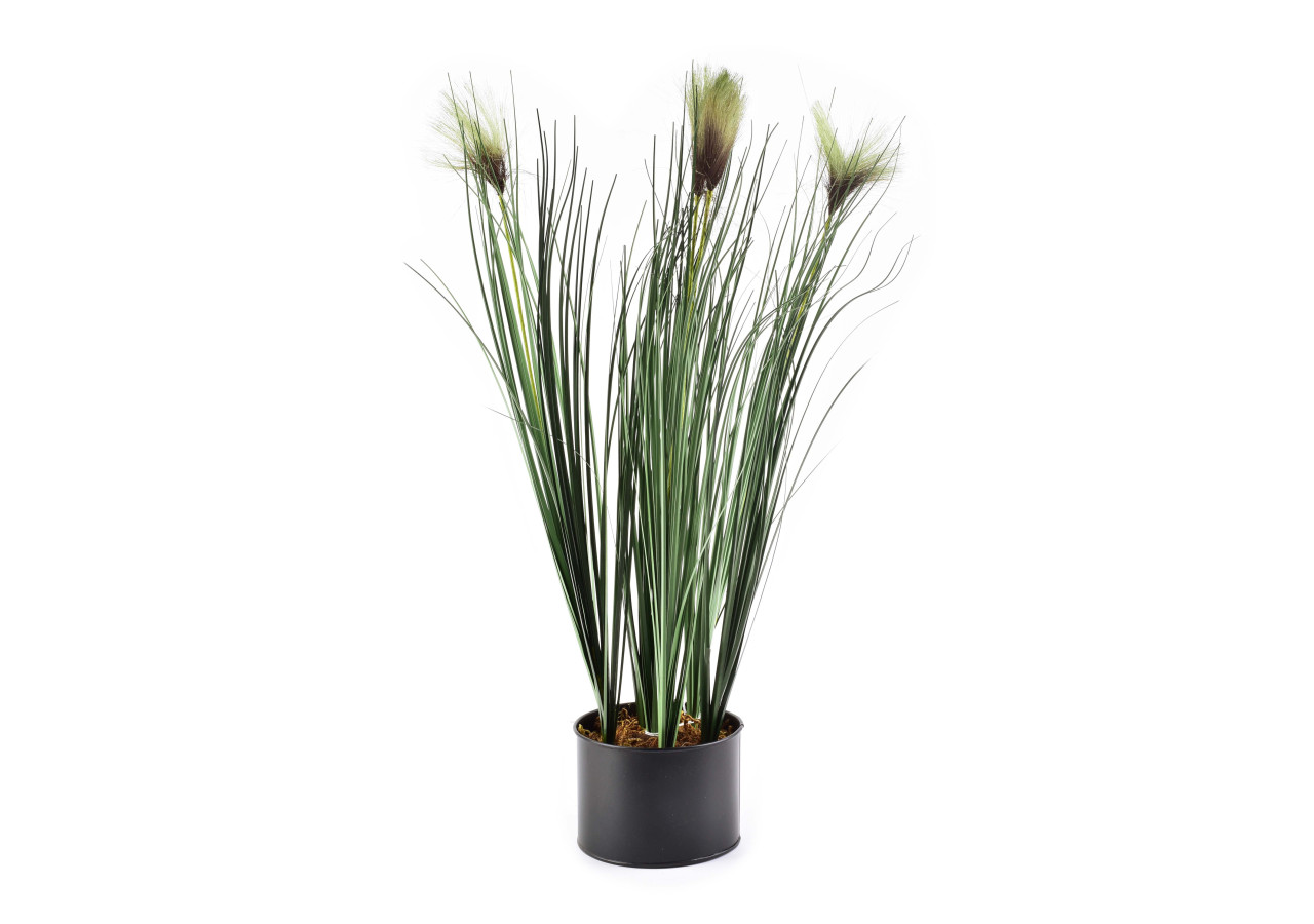 Fleur Artificielle - Vert et Brun 12,5xh64cm - HTQB3523-PROM - Mondex