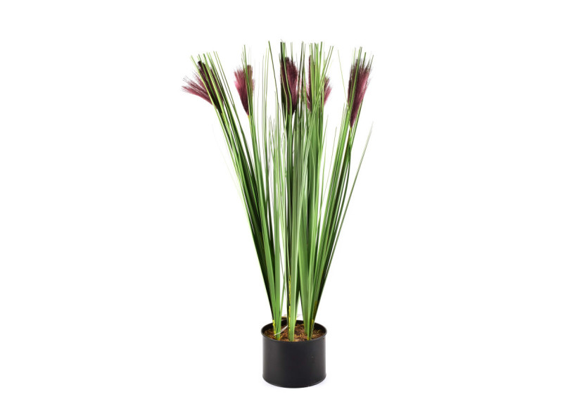 Fleur Artificielle - Fleurs Violet 12,5xh64cm - HTQB3530-PROM - Mondex