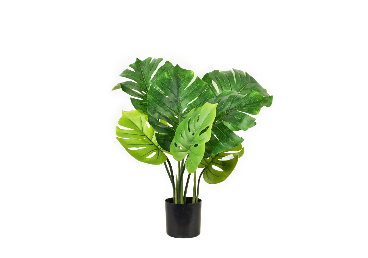 Fleur artificielle VIRIDIS - Monstera en pot H70cm - HTQB2913 - Mondex