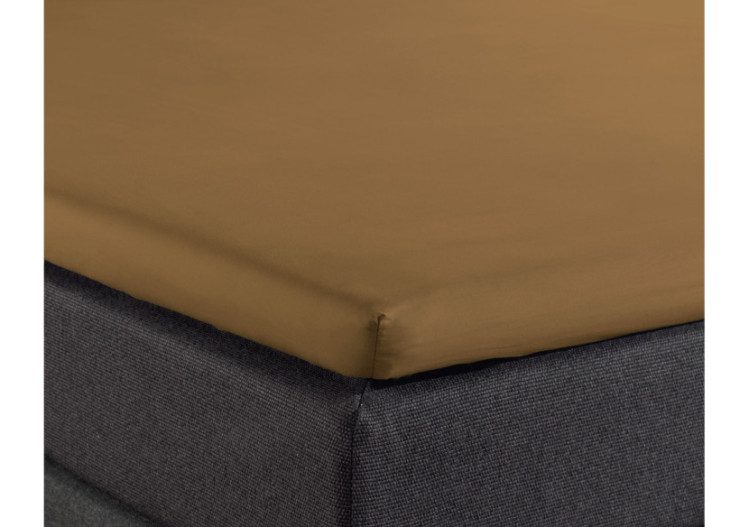 Housse de Matelas Splittopper - Coton Percale Taupe 160 x 210 cm - 12010408 - Dreamhouse 2