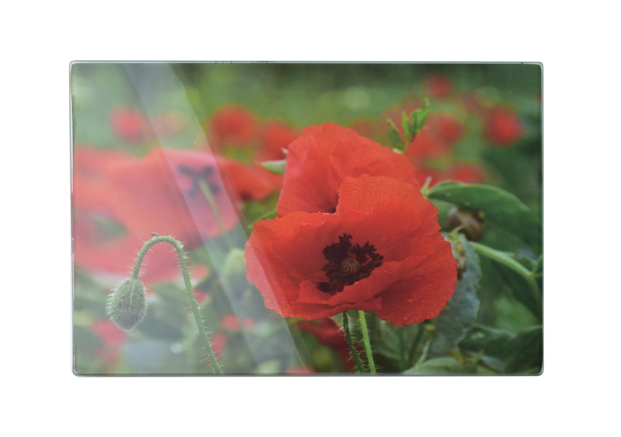 Planche de Cuisine en Verre ARIA - 20x30cm, Élégante et Pratique - HTXD1228-CX - Mondex
