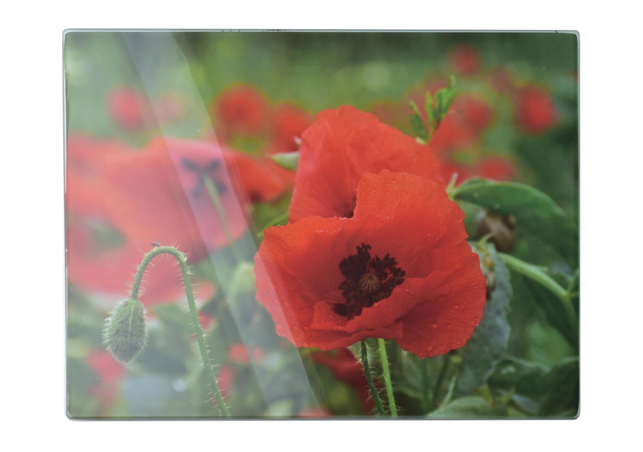 Planche de Cuisine en Verre ARIA - 30x40cm, Design Élégant et Pratique - HTXD1211-CX - Mondex