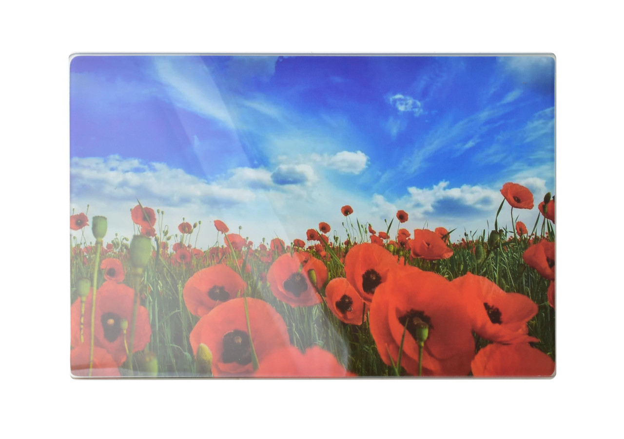 Planche de Cuisine en Verre ARIA - 20x30cm, Élégante et Pratique - HTXD1204-CX - Mondex