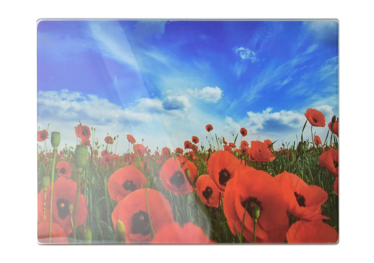 Planche de Cuisine en Verre ARIA - 30x40cm, Design Élégant et Pratique - HTXD1198-CX - Mondex