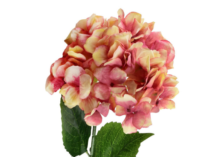 Hortensia Artificiel VIRIDIS - Fleurs 73 cm - HTUA9072 - Mondex 2