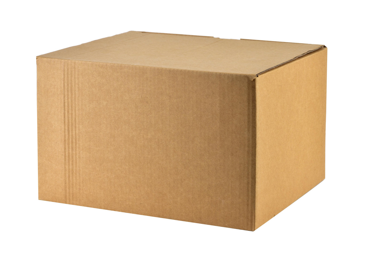 Vase Basic - Porcelaine élégante 2,3L - HTNF7437 - Affekdesign By Mondex