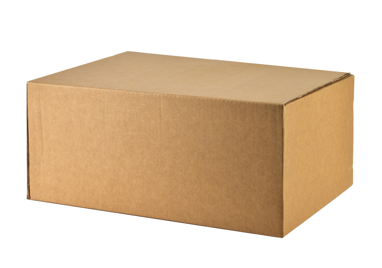 Vase Basic - Porcelaine élégante 1,7L - HTNF7420 - Affekdesign By Mondex