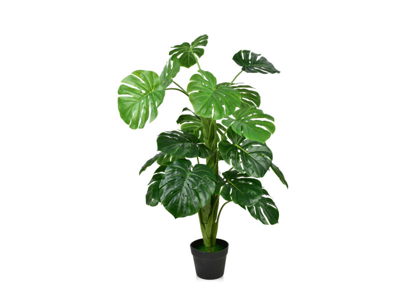 Plante JUNGLE Monstera - Hauteur 90 cm en pot - HTUA9195 - Mondex