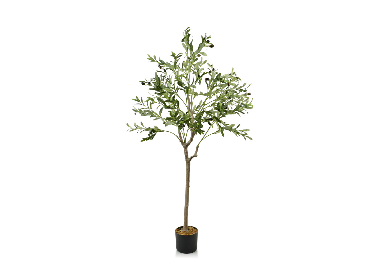 OLIVES - Plante artificielle hauteur 140cm avec pot - HTUA9133 - Mondex