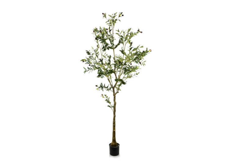 OLIVES Kwiat sztuczny h:180cm